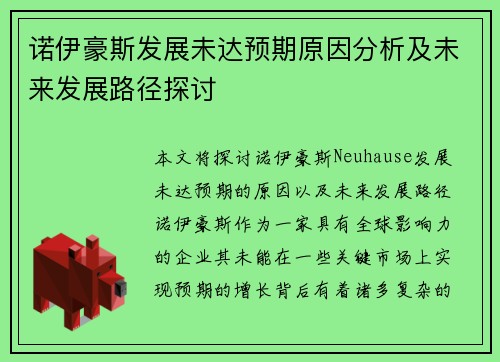 诺伊豪斯发展未达预期原因分析及未来发展路径探讨